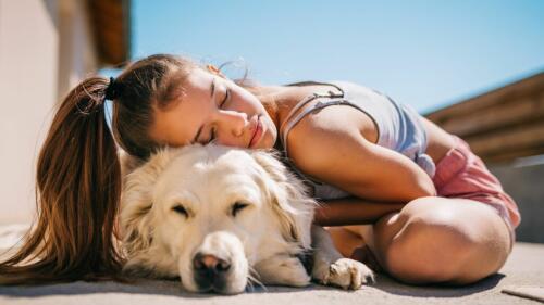 Hoy es el Día Mundial del Perro, por eso es 26 de agosto