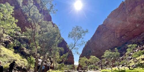 En Australia 41,6 grados centígrados en pleno invierno