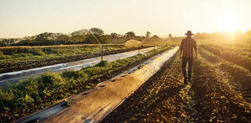 La alimentación tiene un problema climático:Las emisiones de óxido nitroso se están acelerando con la creciente demanda de fertilizantes y carne, pero hay soluciones