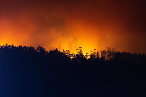 En junio arde Siberia, una superficie del tamaño de Molise.Copérnico:«En el Ártico se registra el mayor aumento de incendios en los últimos 20 años»