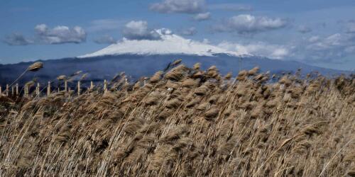 Sécheresse et manque d'eau pour l'agriculture dans le sud de l'Italie