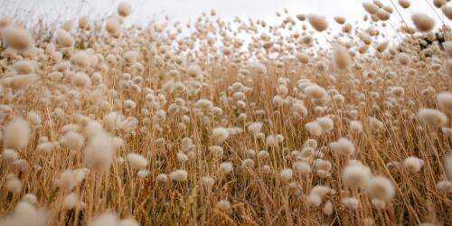 Comment le changement climatique affecte la mode