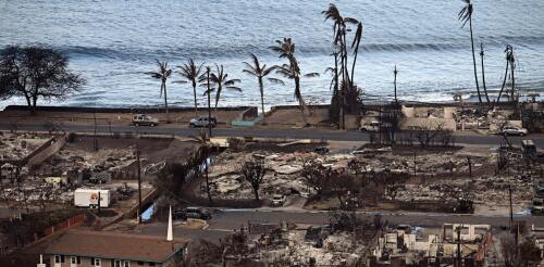 Les incendies de forêt portent un coup dur à l'économie de Maui, mais d'autres destinations emblématiques se remettent de catastrophes similaires.