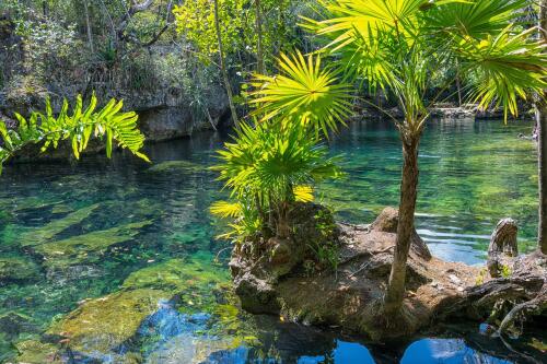 Le Mexique crée vingt nouvelles zones protégées pour protéger la biodiversité