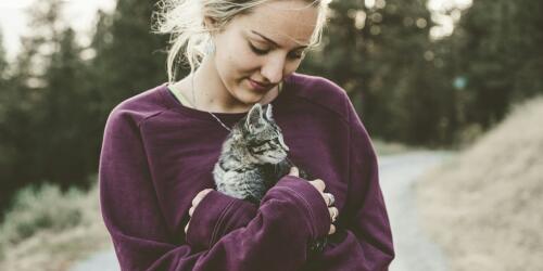 Adoption d'animaux conscients :Emethy apporte le défi à l'entreprise