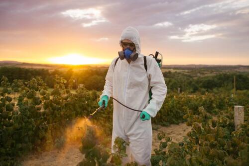 Bruxelles s'incline devant le lobby agricole :renouvelé l'usage du glyphosate pour 10 ans