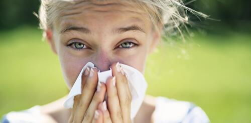 La saison des allergies devient plus intense avec le changement climatique. Nous créons de meilleures prévisions polliniques pour vous aider.