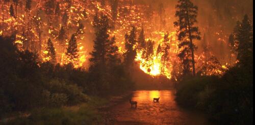 Le risque d'incendie en haute montagne s'intensifie :C'est une mauvaise nouvelle pour les humains, dangereuse pour l'environnement.