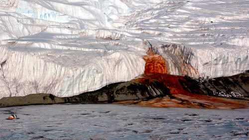 Opérations de protection planétaire sur le terrain pour les sondes de fusion :Validation de l'accès propre aux Blood Falls, Antarctique et écosystème englaciaire