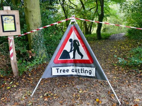 Les forêts britanniques seront confrontées à un effondrement catastrophique de leur écosystème d’ici 50 ans, selon une étude