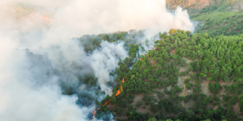 Les incendies de forêt sont également une mauvaise nouvelle pour l'instabilité hydrogéologique