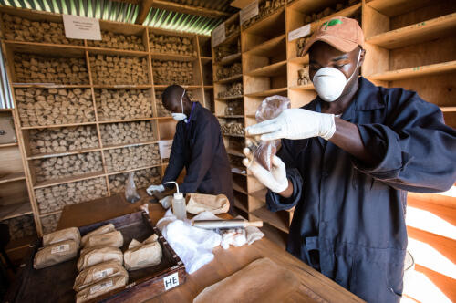 Le Ghana élimine le trachome, The Bail Project ouvre un cinquième site :Mises à jour de Le Projet Audacieux