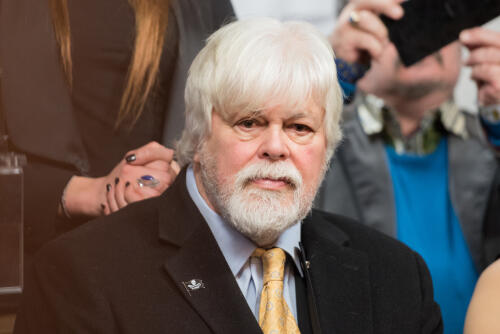 La détention de Paul Watson, le capitaine coupable d'avoir défendu les baleines, a été prolongée