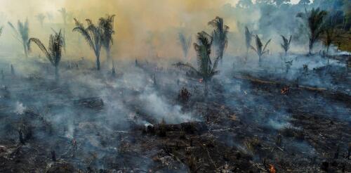 Mettre fin à la déforestation en Amazonie :4 lectures essentielles sur l'avenir de la plus grande forêt tropicale du monde