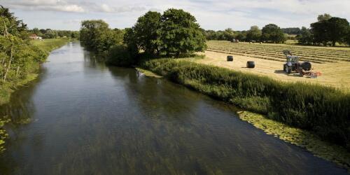 Des champs aux océans, comment les pesticides se dispersent dans l’environnement.L'étude