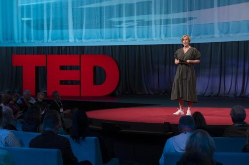 Prepararsi all’inevitabile caos che ci aspetta:Note sulla Sessione 9 di TED2023