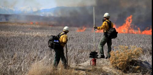 Il servizio forestale mette in guardia sui tagli al budget in vista di una rischiosa stagione di incendi: cosa significa per la sicurezza