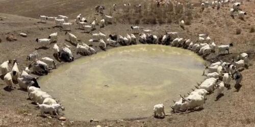 La più grave crisi idrica della storia in Sicilia e gli effetti del cambiamento climatico