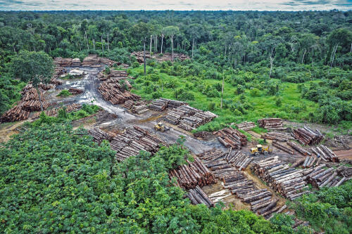 Un rapporto svela la deforestazione dell’Amazzonia ecuadoriana