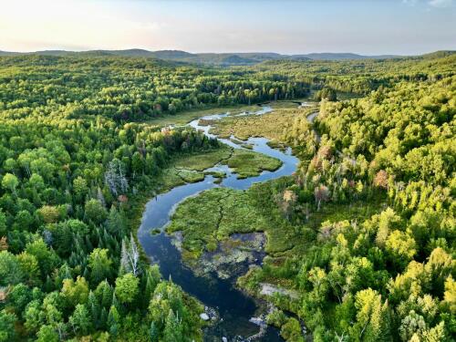 Un nuovo strumento di monitoraggio aiuta le aziende a dimostrare che le loro catene di approvvigionamento non danneggiano la biodiversità