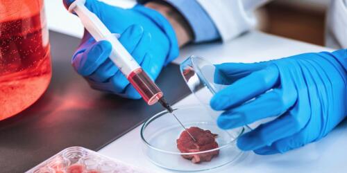 Perché la carne coltivata in laboratorio è una falsa soluzione alla crisi climatica