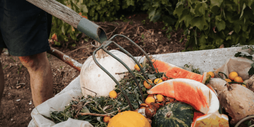 Chi è davvero responsabile dello spreco alimentare?