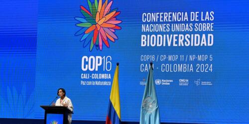 Prende il via in Colombia la Cop16 sulla biodiversità: gli obiettivi e i nodi da sciogliere