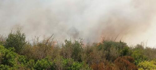 Caldo record, torna l’incubo degli incendi