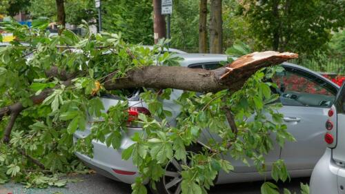 雹、風、洪水：気候が車にもダメージを与える場合。政策競争が始まる