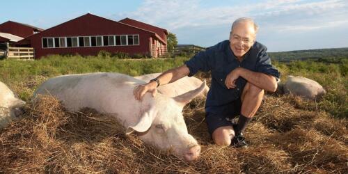 ピーター・シンガー。動物も私たちと同じように苦しんでいます。これは私たちが直面しなければならない道徳的な問題です