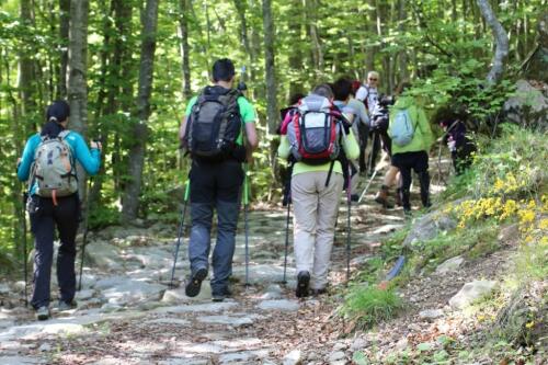 山岳地帯のイタリアの学校はイタリア・カイの道を「学ぶ」