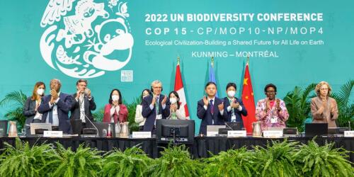 COP15、2030年までに生物多様性の損失を阻止するという画期的な合意。最も脆弱な国々への基金を求めるアフリカ諸国の呼びかけは無視される