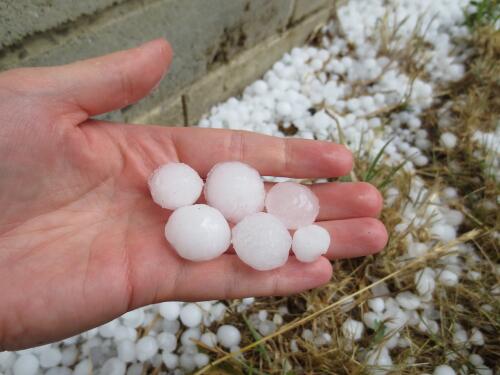 悪天候がやってくる、今度は悪夢の雹が降る