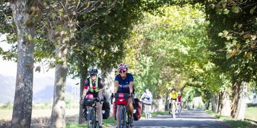 9 月に自転車で巡る、イタリア各地の見逃せないイベント