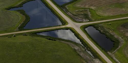 米国は加速度的に湿地を失いつつあります。民間部門がこれらの貴重な資源の保護にどのように貢献できるかをご紹介します。