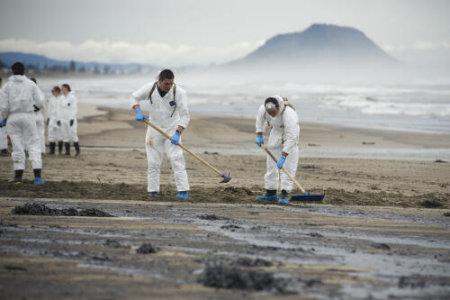 Ecocídio:qual é a lei europeia que introduz o crime de crimes contra a natureza