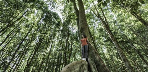 Mantendo a calma em um mundo em aquecimento:8 etapas para ajudar a gerenciar 