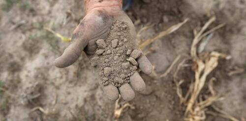 Os agricultores enfrentam um risco crescente de secas repentinas em todas as principais regiões nas próximas décadas, mostram novas pesquisas