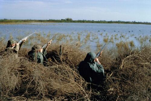 Hunt, o governo tenta de tudo para favorecer o lobby das duplas