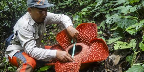 Foram identificados 33 locais com milhares de espécies não descobertas