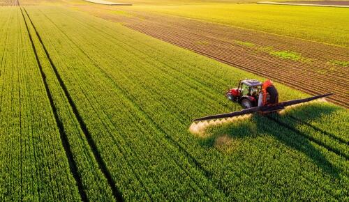 260.000 cidadãos pedem à Europa que aja para reduzir os pesticidas