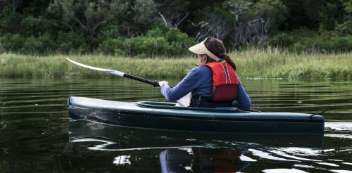 Os americanos amam a natureza, mas não se sentem capacitados para protegê-la, mostram novas pesquisas