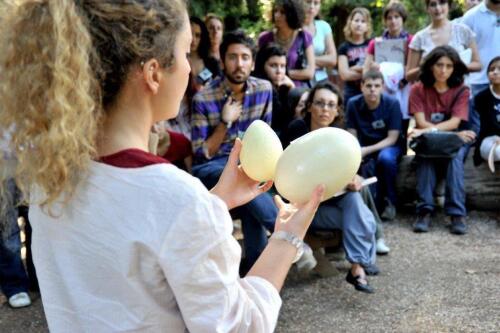 В Биопарке Рима Пасха посвящена биоразнообразию яиц.